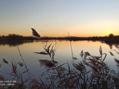 Meleghine: non c’è incompatibilità tra ZPS e ARE