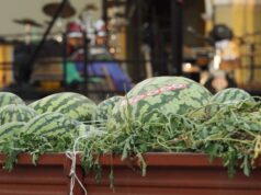 Attesa a Novellara per la ventesima edizione di ‘Miss Anguria’