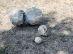 Ruralis, progetto di arte pubblica nell’Appennino bolognese