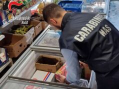 Market etnici: oltre 80 kg di alimenti scaduti sequestrati dai NAS tra Parma e Piacenza