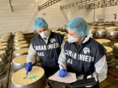 In provincia di Modena sequestrate dai NAS 19 tonnellate di formaggio che evocava il Parmigiano Reggiano Dop