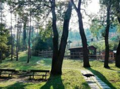 Nuova gestione alla Pinetina di Vezzano con Il Melograno