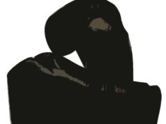 Boxe: a Modena bando per la gestione delle due palestre comunali