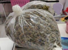 Polizia Locale, il cane Ares trova circa un chilo di stupefacente sotto un cassonetto