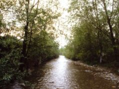 Lavori di messa in sicurezza del Tiepido a Maranello