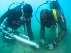 Terna avvia in Sicilia il trapianto sperimentale di Cymodocea nodosa