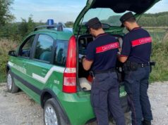Intento a trafugare rifiuti di valore, denunciato dai carabinieri forestali di Viano