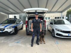 Quasi ultimato a Mirandola l’addestramento dell’agente a quattrozampe “Thor”