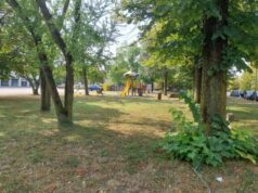 Al via a Guastalla la manutenzione del verde pubblico. Proseguirà per tutto il mese di settembre