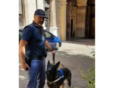 Parco delle Caserme Rosse, la Squadra Mobile arresta in flagranza di reato due cittadini marocchini