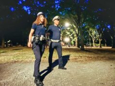 Al parco Berlinguer di Modena vandalizzata la casetta dei libri