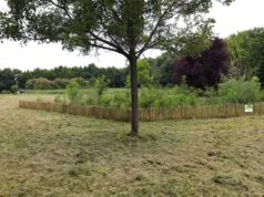 Urbano naturale, arrivano a Reggio Emilia le aree verdi a sfalcio ridotto