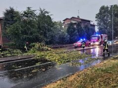 Temporale e forti raffiche di vento in città, alberi caduti