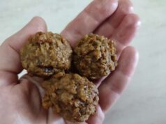 Bocconi dannosi per gli animali rinvenuti in via Premuda a Reggio Emilia