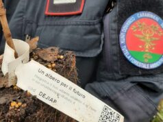 “Gli uomini che piantavano alberi”