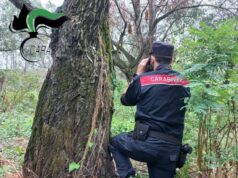 Ferragosto: sanzioni ai conducenti per transito fuori strada nel Parco Nazionale dell’Appennino Tosco-Emiliano