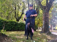 Via Premuda, i Carabinieri Forestali trovano potenziali esche avvelenate