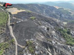 Incendio a Pianoro: in corso le indagini svolte dai Carabinieri Forestali