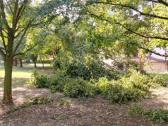 Maltempo: la stima dei danni nel territorio di Finale Emilia