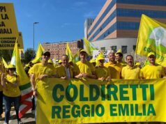 Coldiretti: peste suina, con arrivo nuovo commissario subito indennizzi agli allevamenti