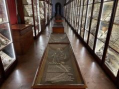 Il progetto dei Musei Civici di Reggio Emilia tra i vincitori del Piano per l’Arte Contemporanea