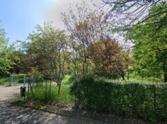 Sarà rifatto il passaggio sul lago al parco Ferrari di Modena