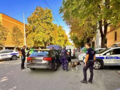 Sicurezza urbana, un fermo con sequestro d’auto in Bolognina grazie al cane Grey