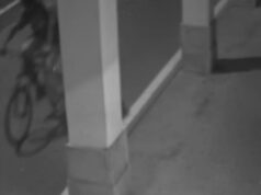 Omicidio Verzeni, fermato un 31enne. “L’ho vista e l’ho uccisa”