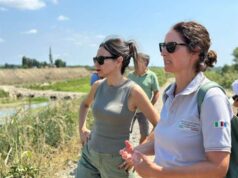 Ricostruzione post alluvione, i lavori di messa in sicurezza del fiume Idice verso il completamento, nel rispetto dei tempi previsti