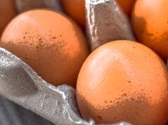 Rischio salmonella in uova fresche, informazioni dell’Azienda Usl Reggio Emilia per il consumatore