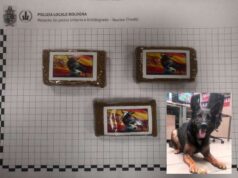 Bologna: tra via Erbosa e via Indipendenza Ares trova circa 650 grammi di hashish