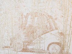 Al Palazzo Ducale di Sassuolo le opere di Stefano Arienti per Marca Corona per l’Arte