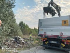 Intervento di raccolta dei rifiuti abbandonati nel bosco urbano di Lesignana