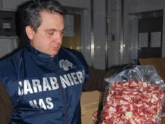 Controlli dei NAS nella filiera delle carni e della ristorazione per la prevenzione della diffusione della peste suina