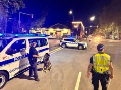 Polizia Locale, nell’ultima settimana d’agosto a Bologna controlli straordinari sulla sicurezza stradale