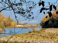 Serie di interventi mirati di AIPo per incrementare i livelli di sicurezza idraulica del territorio modenese