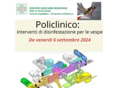 Interventi di disinfestazione per le vespe al Policlinico di Modena