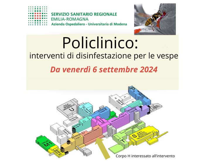 Interventi di disinfestazione per le vespe al Policlinico di Modena