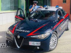 In provincia di Bologna un cane salva la vita al padroncino aggredito dal padre