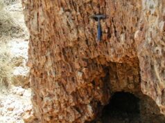 Unimore ha preso parte a un nuovo studio sulla crisi ecologica del Mediterraneo di 5,5 milioni di anni fa