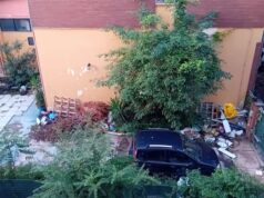 West nile, un cittadino modenese ci scrive