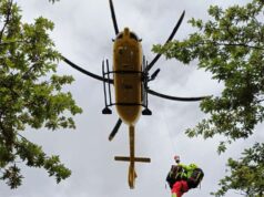 Punto da calabroni, 76enne soccorso a Carpineta di Camugnano