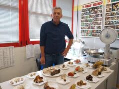 Stagione dei funghi, attenzione agli esemplari tossici