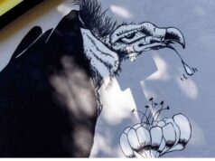 Al Giardino delle Popolarissime inaugurato l’intervento artistico a cura dell’Archivio Pier Achille Cuniberti