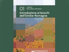 Nasce la collana “I boschi dell’Emilia-Romagna”: il primo opuscolo dedicato alla consistenza e alle caratteristiche del patrimonio forestale regionale