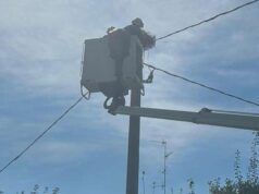 A Gavasseto, luogo simbolo delle cicogne, E-Distribuzione installa un nuovo nido, distrutto da un fulmine