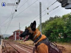 Trovato con120 grammi di droga e oggetti atti ad offendere, arrestato