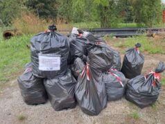 Oltre 180 kg di rifiuti raccolti al Bosco Urbano Enrico Berlinguer di Reggio Emilia
