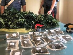 32enne denunciato ad Imola: in casa un laboratorio per la coltivazione/lavorazione della droga