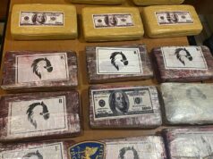 La Polizia Stradale di Bologna arresta un corriere della droga